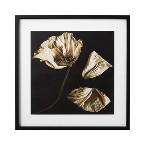 Flora 8 -taulu, mustavalkoinen / pastellinkeltainen, 70 x 70 cm