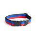 HAY Dogs -kaulapanta, red/blue, M/L