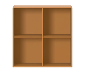 Show Bookshelf, Amber